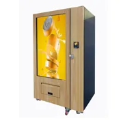 distributeur-automatique-grand-ecran3