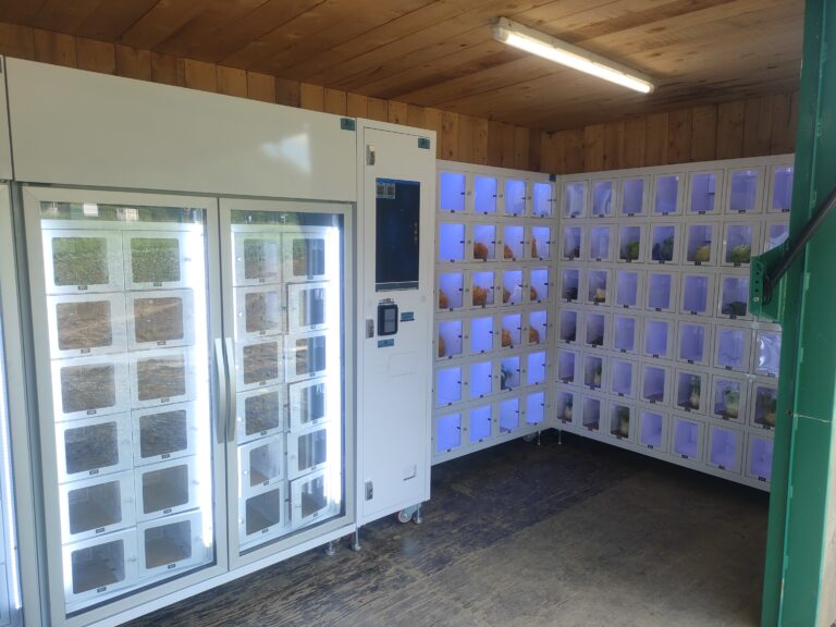 Jardin D'antan Distributeurs Automatiques : Le Répandu, Le Bien-Pensant et L'Épicier